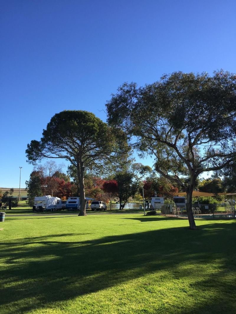 Junee Tourist Park image
