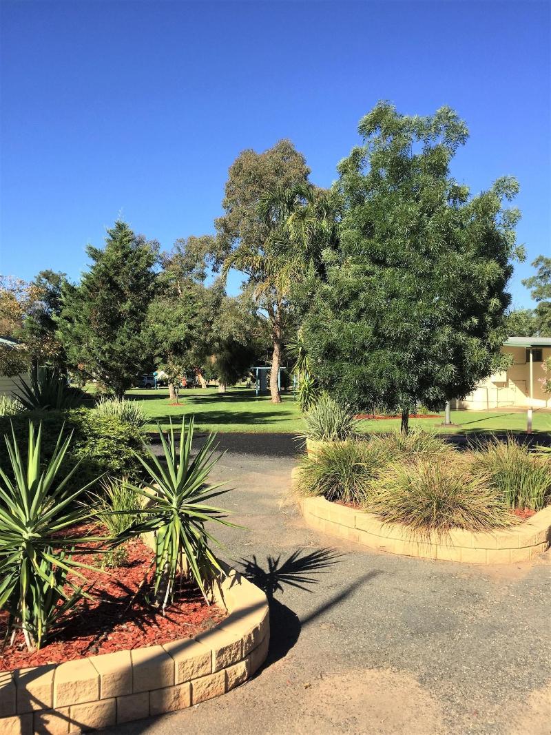 Junee Tourist Park image