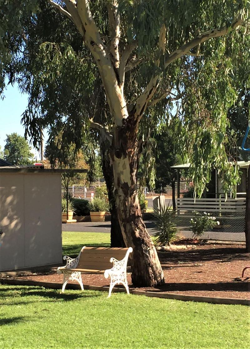 Junee Tourist Park image