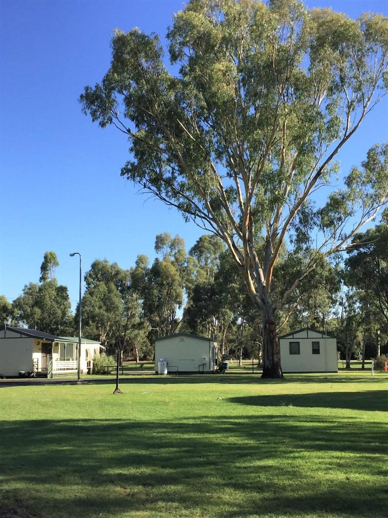 Junee Tourist Park image
