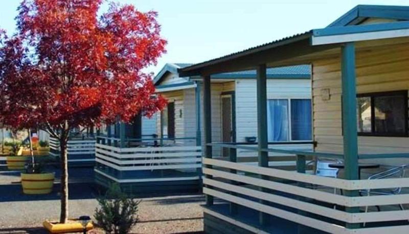 Junee Tourist Park — general view