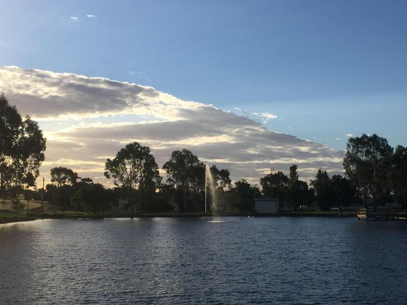 Junee Tourist Park — general view
