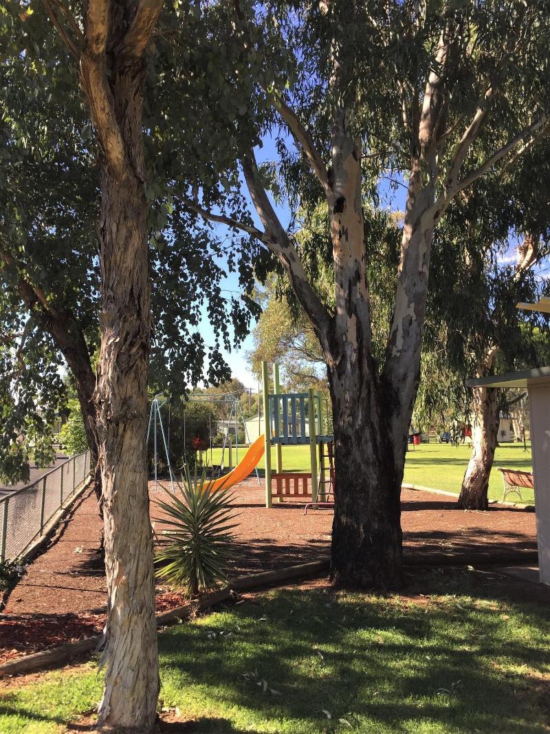 Junee Tourist Park image