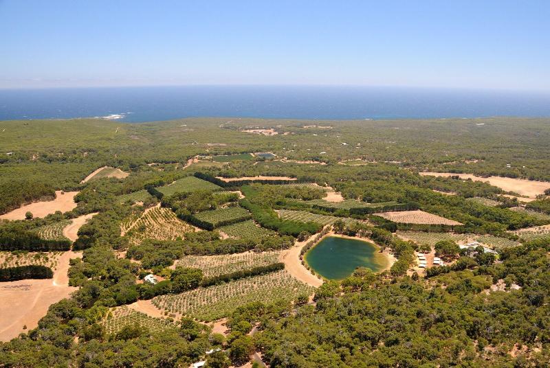Olio Bello Lakeside Glamping image