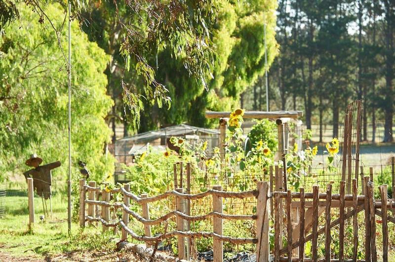 Olio Bello Lakeside Glamping image