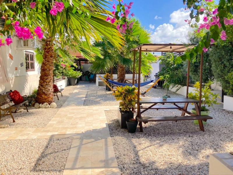 Aruba Lagunita image