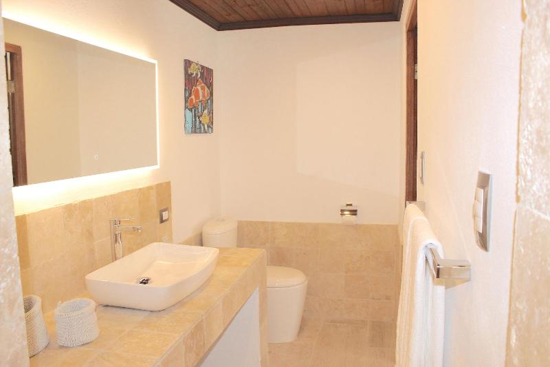 Aruba Lagunita image