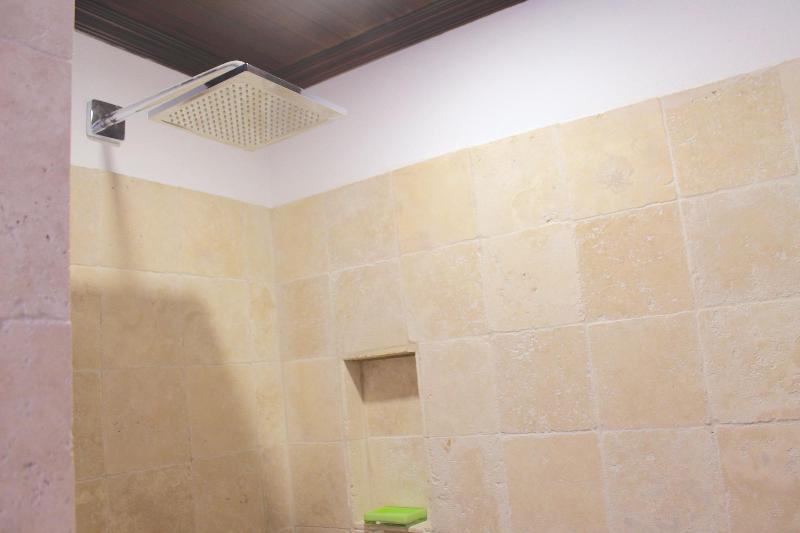Aruba Lagunita image