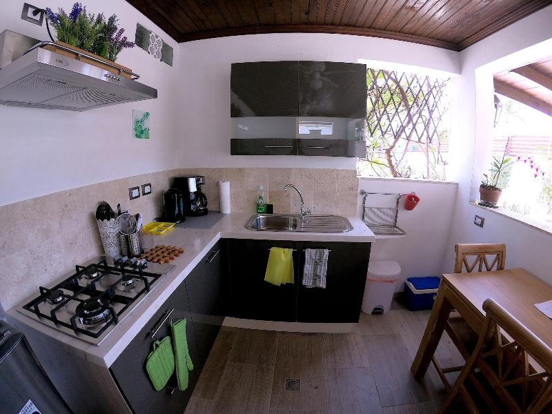 Aruba Lagunita image