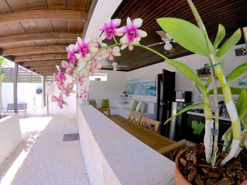Aruba Lagunita image