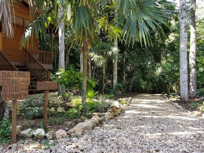 Mariposa Jungle Lodge image