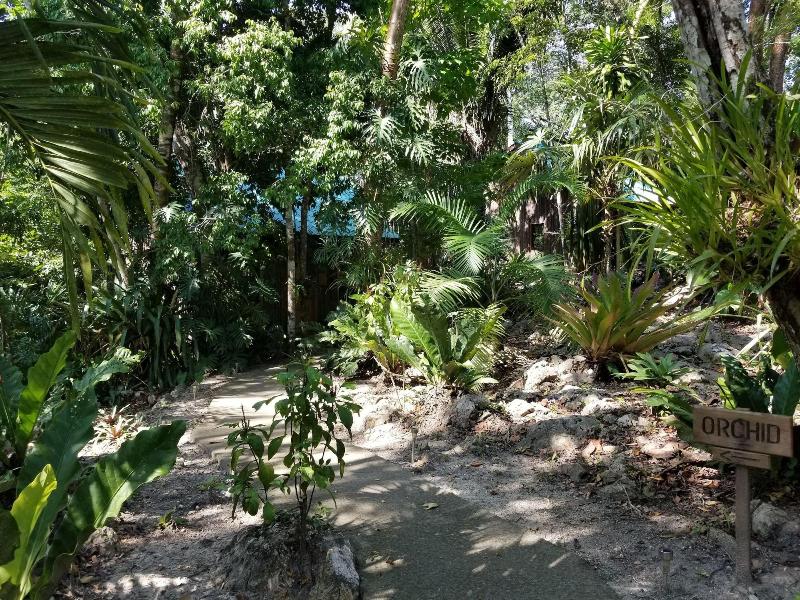 Mariposa Jungle Lodge image
