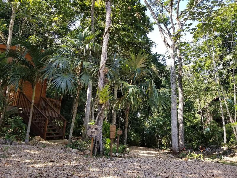 Mariposa Jungle Lodge image