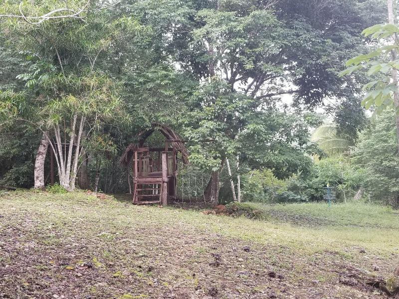 Mariposa Jungle Lodge image