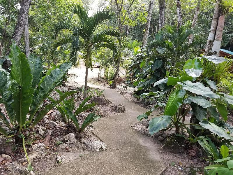 Mariposa Jungle Lodge image
