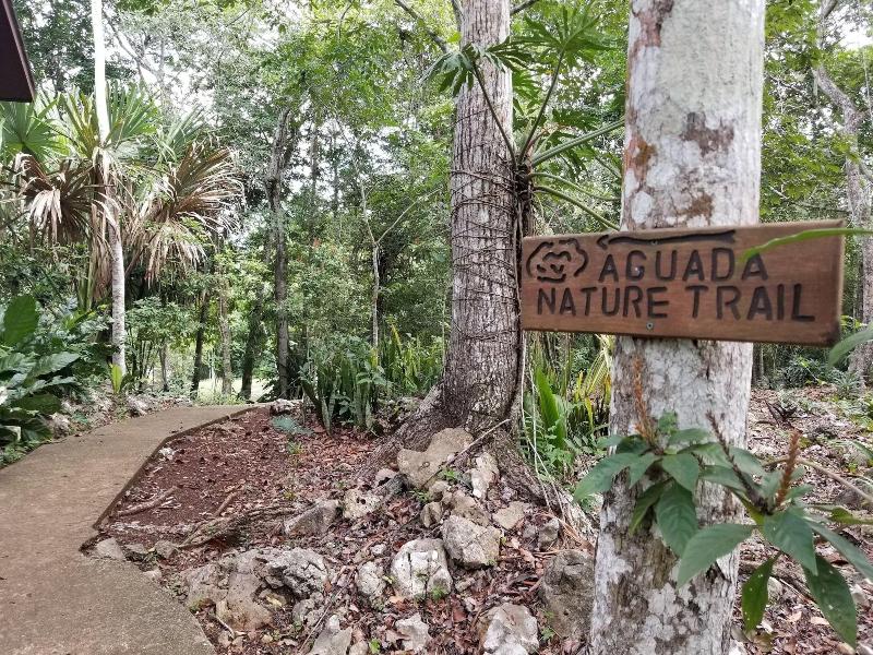 Mariposa Jungle Lodge image