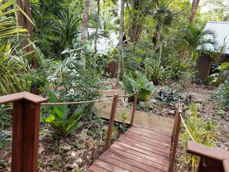 Mariposa Jungle Lodge image