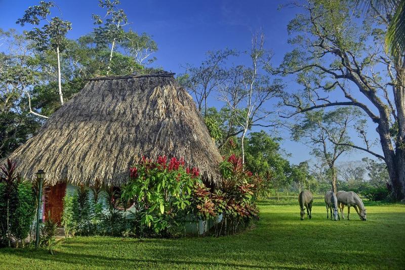 Banana Bank Lodge image