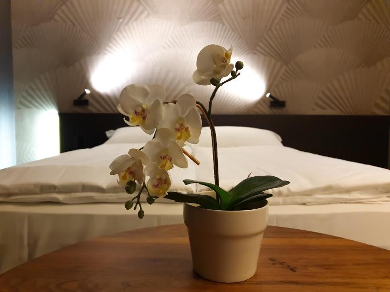 San Carlo Suite image