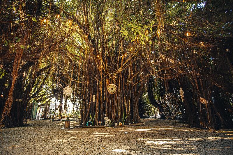 Namaste Beach Club & Hotel image