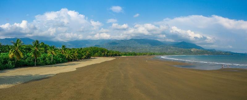Elan at Ballena Beach image