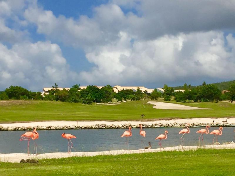 Blue Bay Beach Villas image