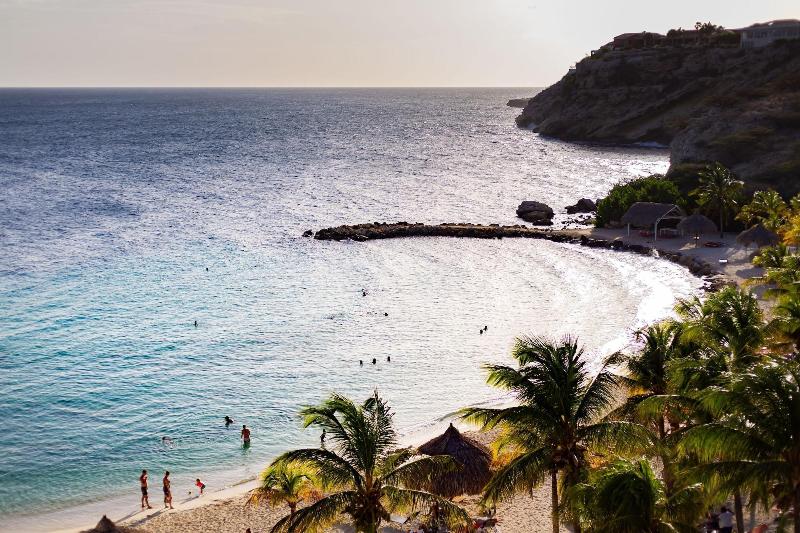 Coral Estate Rentals image