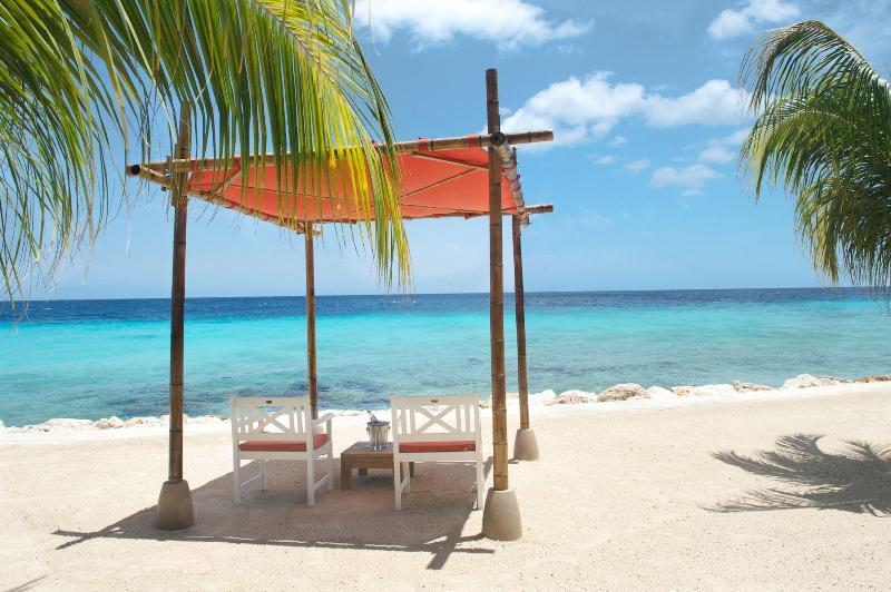 Coral Estate Rentals image