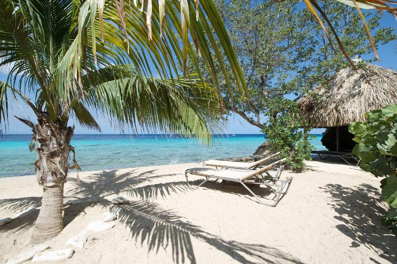 Coral Estate Rentals image