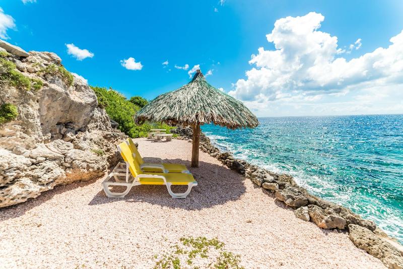 Coral Estate Rentals image