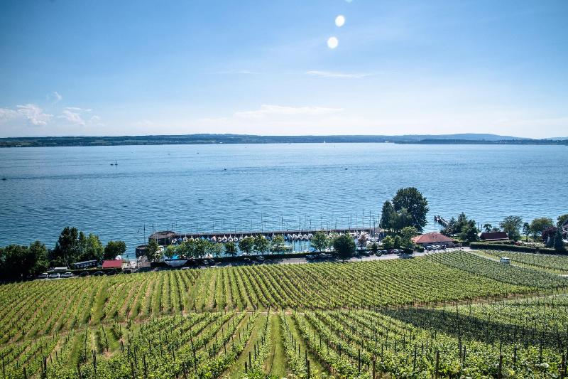 Bodenseehotel Renn image