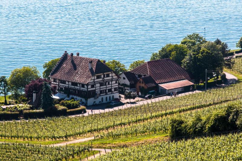Bodenseehotel Renn image