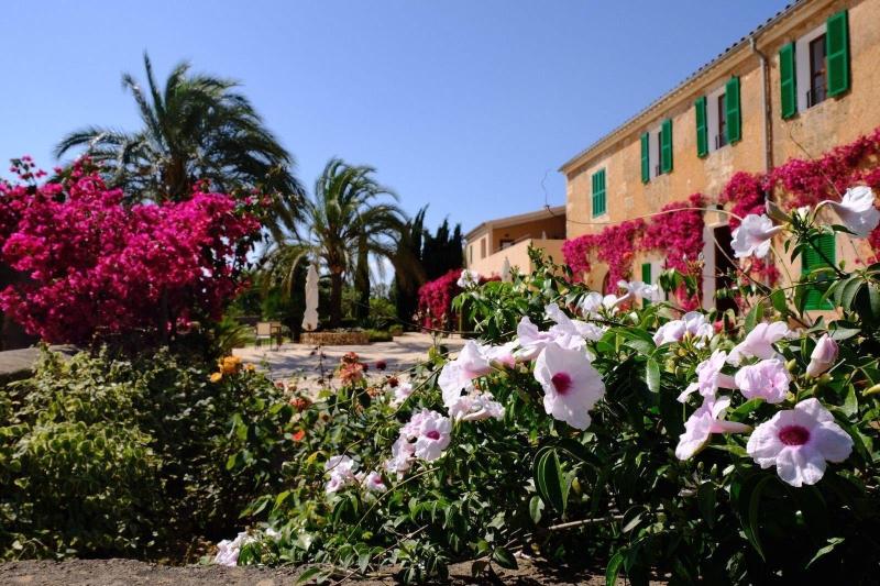 Agroturismo Son Capellot — main photo