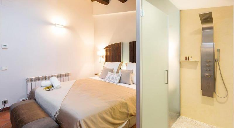 Masia Can Canyes & Spa image