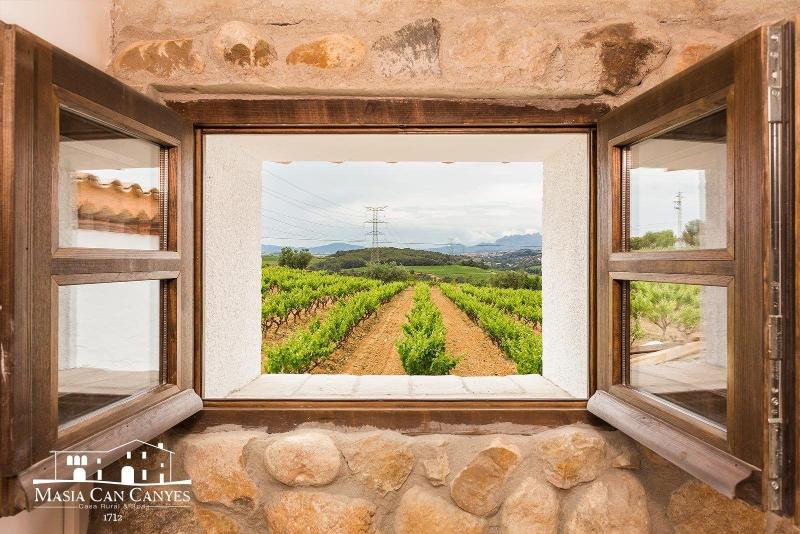 Masia Can Canyes & Spa image