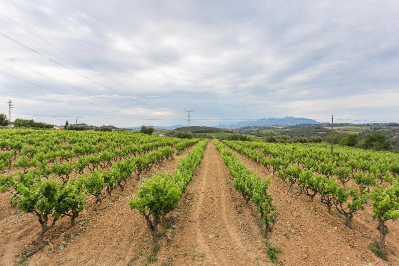 Masia Can Canyes & Spa image