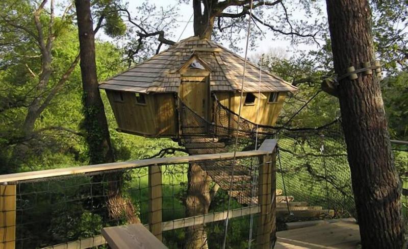 Dihan Evasion image