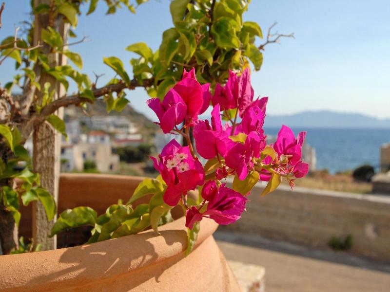 Pantonia Apartments image