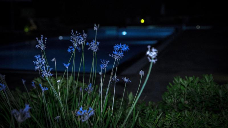Lagada Bay Resort, Ierapetra