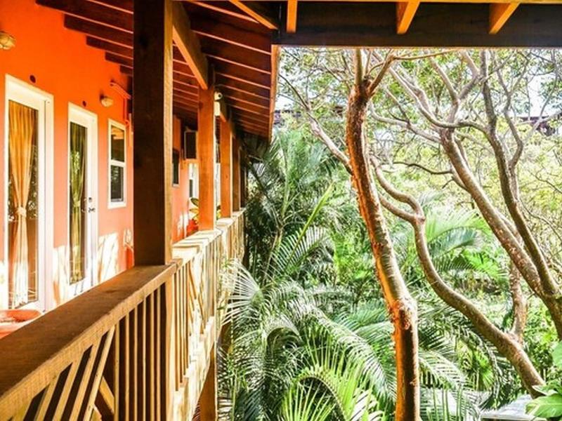 Hotel Posada Las Orquideas image