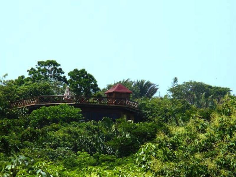 Roatan Bed & Breakfast Apartments — general view