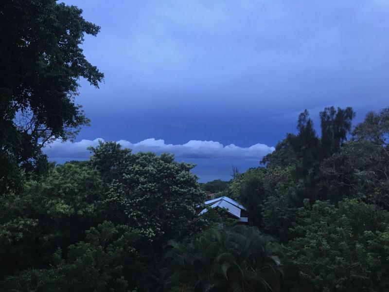 Roatan Bed & Breakfast Apartments — general view