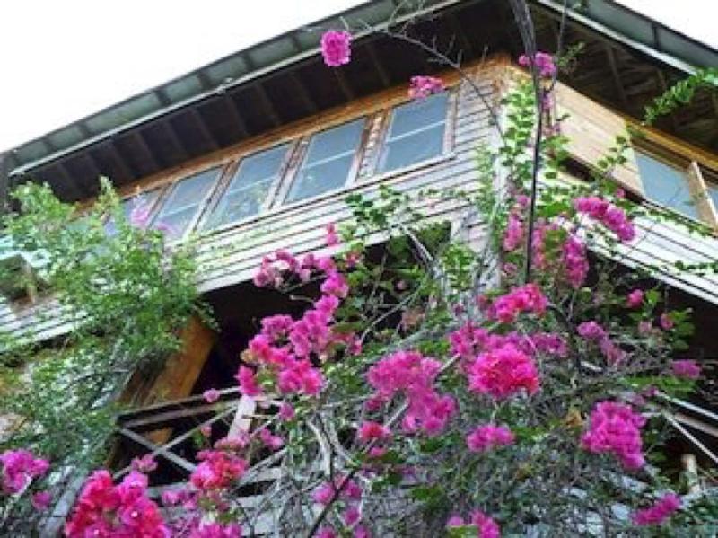 Roatan Bed & Breakfast Apartments — general view