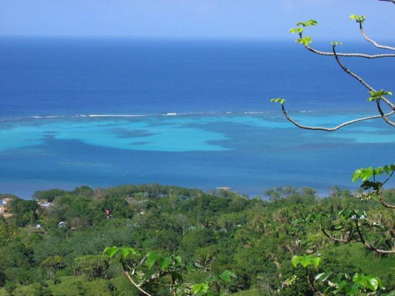 Roatan Bed & Breakfast Apartments — general view