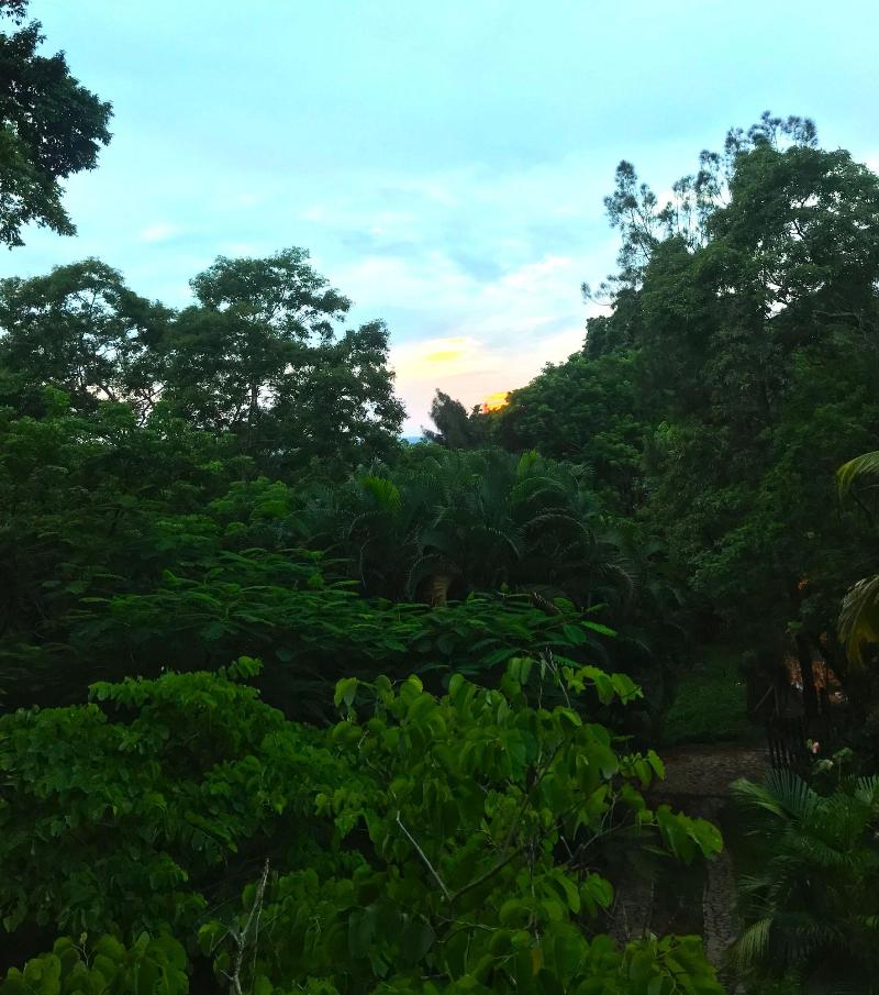 Roatan Bed & Breakfast Apartments image