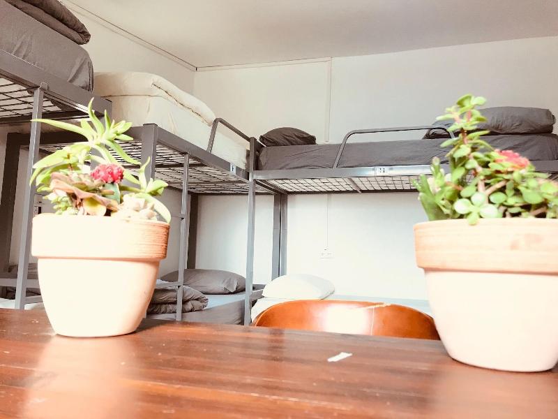 Al Yakhour Hostel image