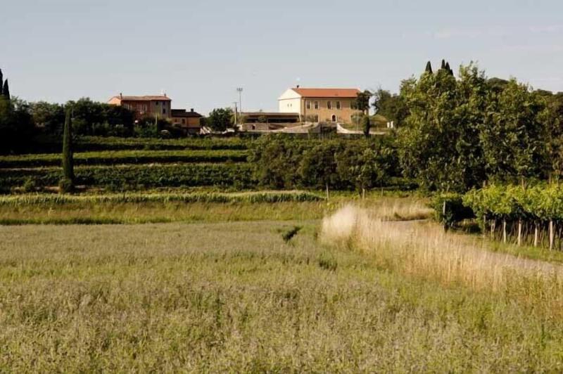Agriturismo Panorama image
