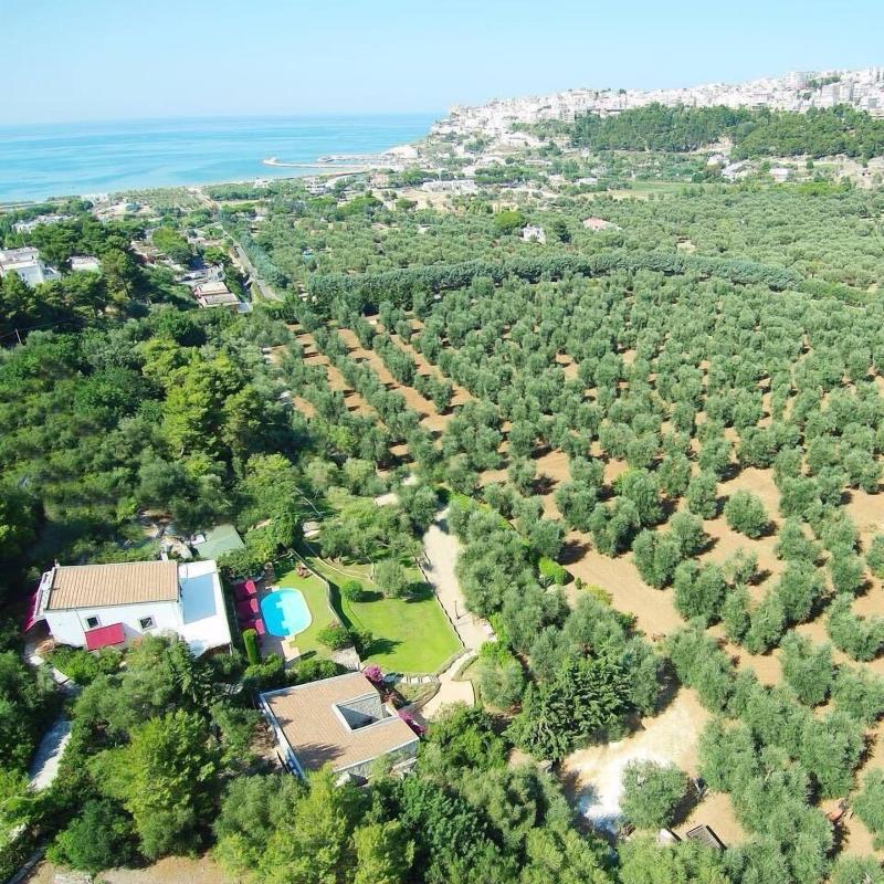Masseria La Chiusa Delle More image