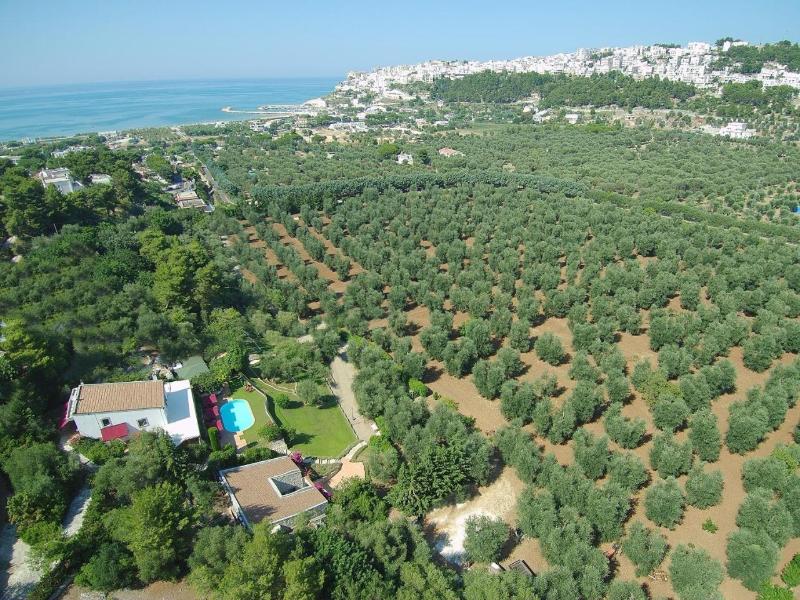 Masseria La Chiusa Delle More image