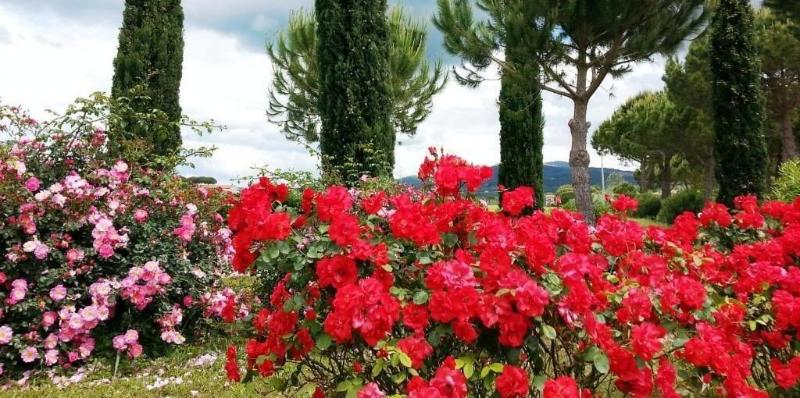 Agriturismo Villa Toscana image